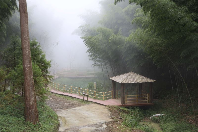 草嶺石壁森呼吸