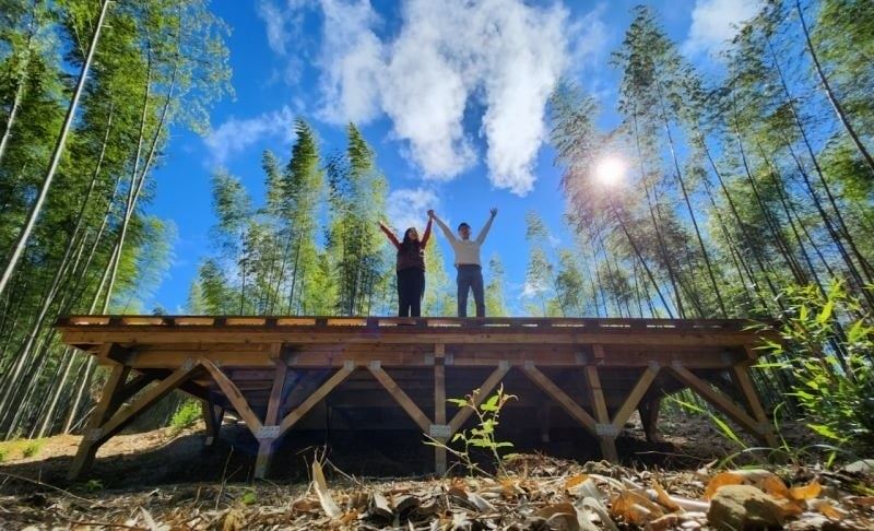 2025草嶺石壁森林療癒季